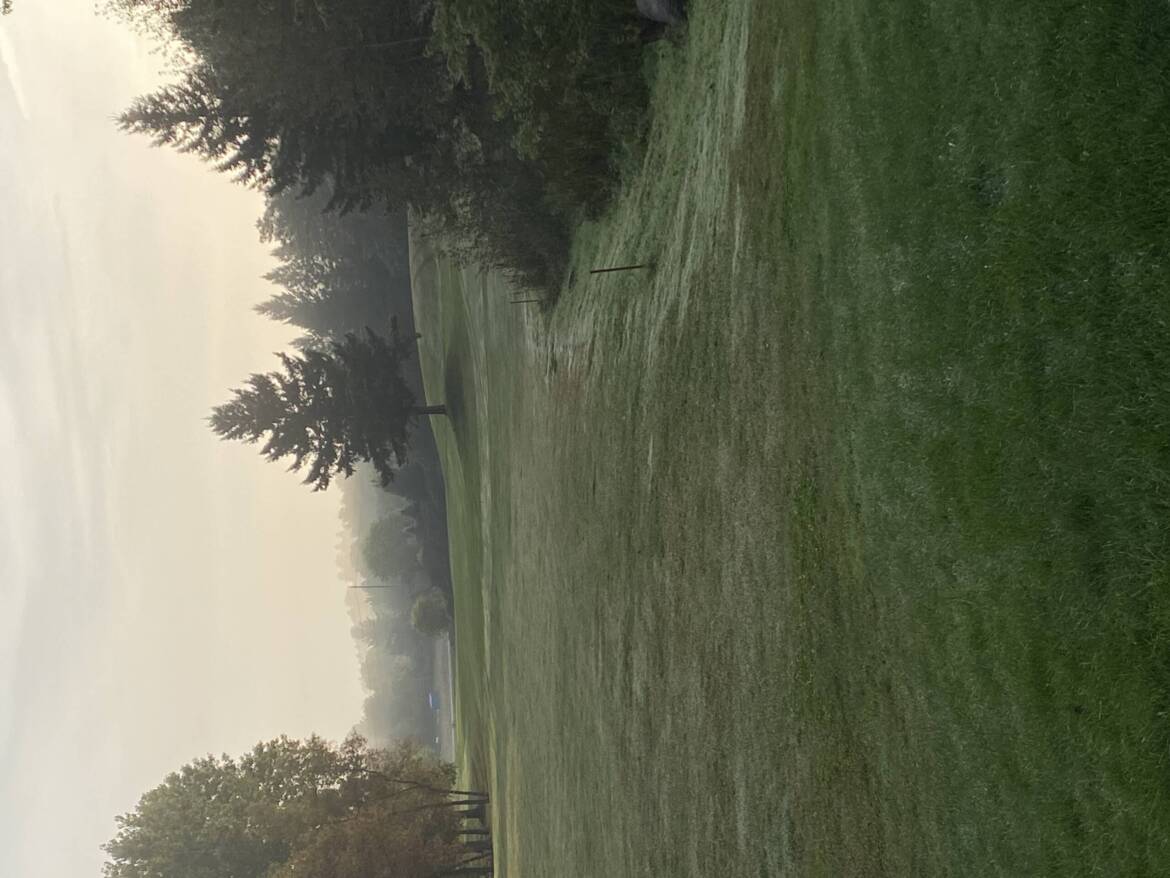 Greene-Acre-fairway-fog-scaled.jpg